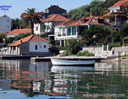 Citrus, privatni smeštaj u mestu Djenović, Crna Gora - Pogled sa plaže